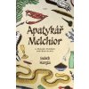 Apatykář Melchior a záhada chrámu svatého Olafa - Hargla Indrek