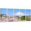 5-dielny obraz sopka Fuji