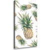 Vertikálny moderný obraz canvas na ráme Ananásy 50x100 cm