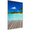 Vertikálny foto obraz akrylové sklo Tropická pláž 50x100 cm