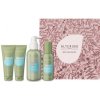 Alter Ego Hydraday Vánoční Set - Šampon 2x 50 ml + kondicionér 150 ml + šlehačka 75 ml Dárková sada