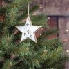 Hviezdna dekorácia D2421