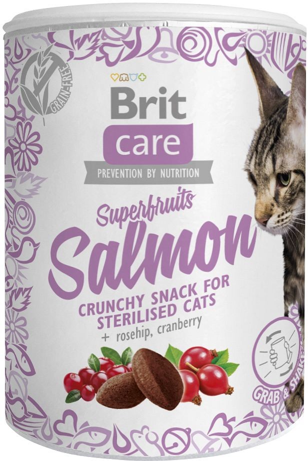 Brit Care Cat Snack Superfruits Salmon 100 g