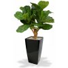 MF Umelý strom Fikus Lyrata DeLuxe (90cm)