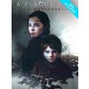 A Plague Tale: Innocence Steam PC