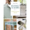 Relookez vos meubles (Annie SLOAN)(Brožovaná)