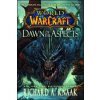 World of Warcraft: Dawn of the Aspects