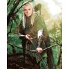 ZUTY Maľovanie podľa čísel - LEGOLAS V LESE (PÁN PRSTENOV) Rámovanie: vypnuté plátno na rám, Rozmer: 40x50 cm