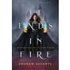 It Ends in Fire (Shvarts Andrew)