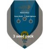 Royal Queen Seeds CBD Mix semena neobsahují THC 3 ks