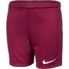 Chlapčenské futbalové šortky Nike, DRI-FIT PARK 3 JR TQO vínová,biela S