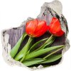 Nálepka 3D diera na stenu Červené tulipány 75x75 cm