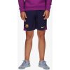 Nike FC Barcelona XL