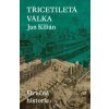 Třicetiletá válka / Stručná historie