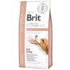 Brit Veterinary Diets GF dog Renal granule pre psy 12kg