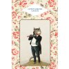 Le Petit livre des chats