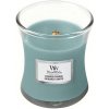 WoodWick Evergreen Cashmere 609 g