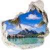 Foto fotografie diera na stenu Palmy na bora bora 75x75 cm