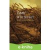 E-kniha Údolí Winterset - Jonathan Edward Durham