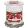 Vianočná sviečka Bartek Candles Gingerbread v skle 260 g