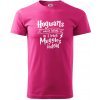 Harry - Hogwarts wasn’t hiring, so I teach Muggles instead - Klasické pánske tričko vyššej gramáže - XL ( Purpurová )