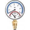 Novaservis Termomanometer 80mm 1/2