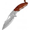 KnifeBoss damaškový zavírací nůž Snakewood VG-10