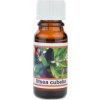 Vonná esencia - Litsea cubeba - 10 ml - Michal