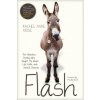 Rachel Anne Ridge,Priscilla Shirer - Flash
