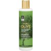 Bodyfarm Pure Olive Shampoo dry hair 250 ml