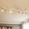 SOLLUX LIGHTING Stropné bodové svetlá Round, biele, 6-plameňové lineárne - LW.0333