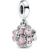 PANDORA Moments 792245C01 (Ag 925/1 000, 3,5 g)