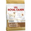 Granule pre psov Royal Canin Adult Labrador Retriever 12 kg