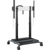 Optoma IFPD RISE 5308