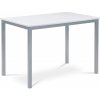 Autronic GDT-202 WT Jedálenský stôl 110x70x75 cm, doska MDF, biela farba, kovová podnož, strieborný lak