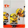 Já, padouch 3 - Blu-ray 3D + 2D Steelbook (2 BD)