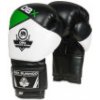 Boxerské rukavice DBX BUSHIDO B-2v6 vel.10 oz