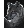 GRAFIKA Puzzle Noční vlk 1000 dílků (F-30020)