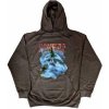 Pantera Unisex Pullover Hoodie: Far Beyond Driven World Tour (x-large) XL