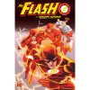 DC Comics Flash by Geoff Johns Omnibus 3