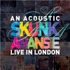 Skunk Anansie - An Acoustic Skunk Anansie Live In London