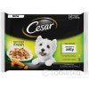 Cesar Adult Selection mix v želé 400 g