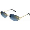 Cartier CT0467S 002