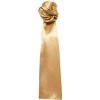 Premier Šátek business PR730, dámský COT39073021099-gold UNI Zlatá