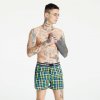 Horsefeathers CLAY BOXER SHORTS kiwi