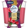 Glade Winter Berries sviečka