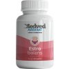 Medveď natural Estro Balans 60 kapsúl