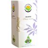 Brahmi - Bacopa monnieri - čajové vrecúška - 20 x 1 g