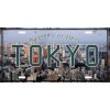 Ceduľa značka Tokyo 30,5cm x 15,5cm Plechová tabuľa