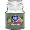 AURA CANDLES Winter Tree 120g